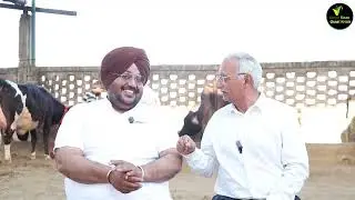 उत्तम नस्ल की एच एफ और जर्सी कैसी होंगी।कितना दूध देंगी उनका दाम क्या होगा श्री कृष्णा डेरी से जानो
