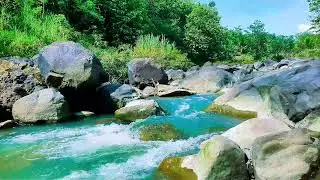 12 Hours River Sounds for Meditation & Sleeping | Gentle Stream Ambience