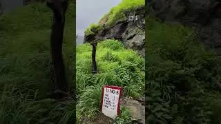 at#shortvideo#train#travel #railway#india#TrainTravel #NatureVibes#TravelByTrain #TrainJourney#train