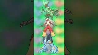 Letting Fans Rank The BEST & WORST Hoenn Starter Pok&eacute;mon