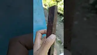 How to make frame or rid of Scientific beehive