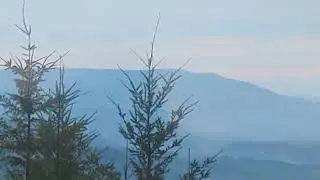 Cool view, on the way down Mary's Peak 😎☕