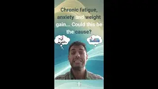 Fatigue, Anxiety, Weight gain - Could this be the cause?? #inflammation #exerciseistherapy