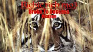 RRMo3 - GROWTH | Track 6 | BROKE TO SUCCESS MIXTAPE