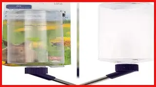 Lixit Standard Cage Water Bottles for Rabbits, Ferrets, Guinea Pigs, Hamsters, Rats, Mice and Other