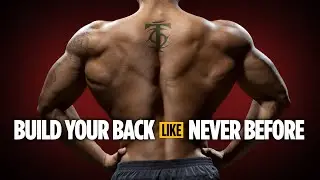 Build Your Back Like Never Before