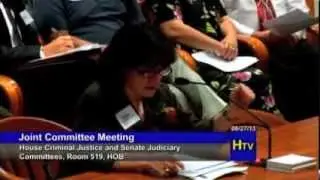 JLWOP Hearings, pt 15: Oakland County Prosecutor Jessica Cooper