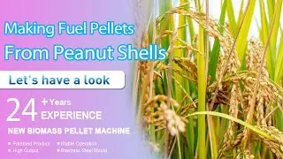 Rice Husk Pellet Processing Technology and Equipment | YULONG