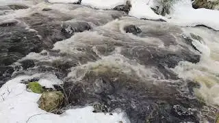 4K Forest River Sounds | Relaxing Nature Video | Sleep, Meditate, Relax, Study | Winter - January