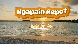 NGAPAIN REPOT || Toton Caribo ( Lirik Lagu)