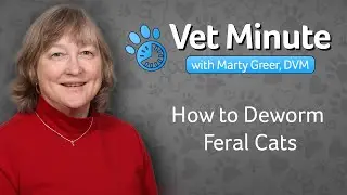 Deworming Feral Cat Colonies