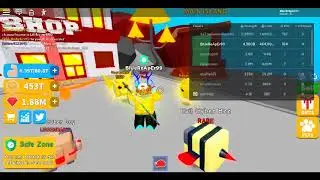 CHAMPION SIM christmas update