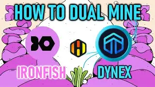 HOW TO DUAL MINE IRONFISH AND DYNEX IN HIVEOS