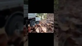 Will the RC Truck Make It Through the Forest Floor? #challenge #rc #shorts