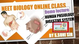 ONLINE BIOLOGY LIVE CLASS: HUMAN PHYSIOLOGY:DIGESTION AND ABSORPTION DEMO LeCTURE