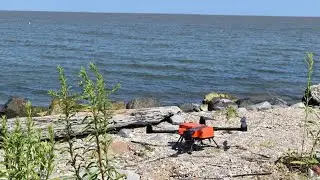 Florida Shark Fishing Rules and Regulations, Land Based