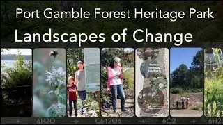 Landscapes of Change: Port Gamble Forest Heritage Park