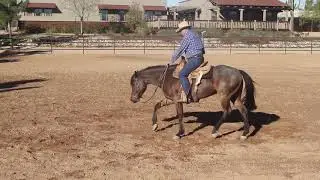 Neck Reining With Mike Kevil