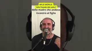 WILD WORLD CAT STEVENS QUASIMODO 