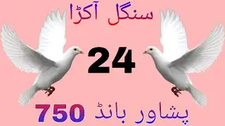 Prizebond new Vip Guess Paper Dak city Peshawar bond 750 Date 15.01.2026