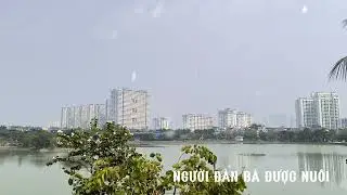 [Truyện Audio] NGƯỜI ĐÀN BÀ ĐƯỢC NUÔI/ Bản tình ca dang dở