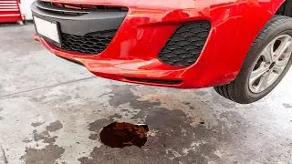 How do I find and fix a car with a fuel leak?