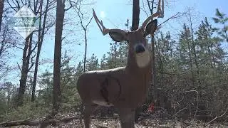 NC Wildlife: R. Wayne Bailey-Caswell Shooting Range in Caswell County