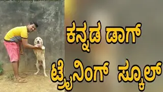 how to train Labrador dog in kannada - Karnataka