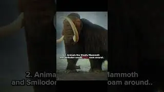 What If Ice Age NEVER Ended? 💀