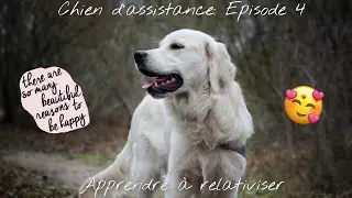 [CHIEN D’ASSISTANCE] Épisode 4: Apprendre à relativiser