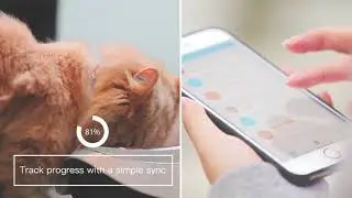 PETBLE - The Health Monitoring System