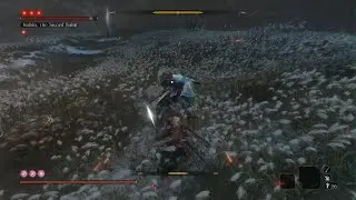 Sekiro: Shadows Die Twice - Isshin, the Sword Saint (No Hit)