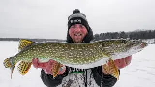 Ice Fishing PIKE with Tip Ups - How to Catch Pike Through Ice