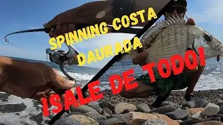 Primera AVENTURA de PESCA en la COSTA DAURADA a LIGHT SPINNING || Travel Vlog 6 (CAMBRILS)