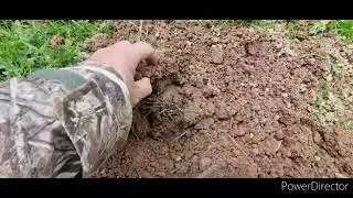Mole Catcher on Dartmoor