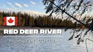 Red Deer River - Monster Catch
