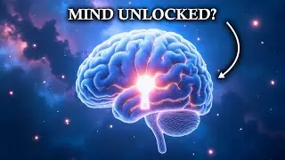 The Terrifying Quantum Theory That Explains What Consciousness Actually  Is