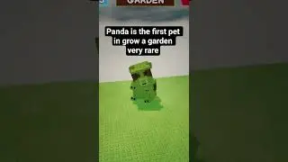 🐼 panda offers