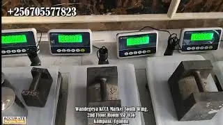 Best Digital Bench Scales Manufacturers in Kampala Uganda