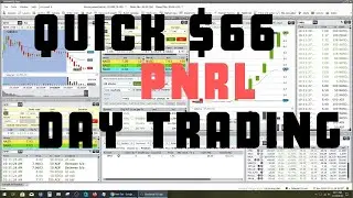 HOT STOCK! PNRL Quick $66 - Crazy Move - Day Trading - +300% RUNNER