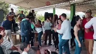 Carranga Viva: Una Fiesta de Baile y Tradición con Innovación Carranguera