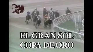 El caballo de hierro EL GRAN SOL corrio 6 veces la Copa de Oro de Venezuela