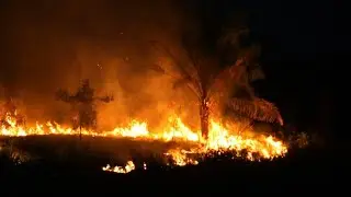 Images of wildfires at night in Brazilian Amazon | AFP