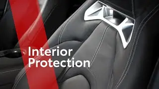Vehicle Protections: Interior & Paint Protection