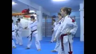 Taekwondo Lee Young en Cerdanyola por www.negociatis.es