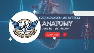 Lecture 6 - Development of the heart: Embryology (CVS)