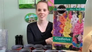 Potting Up Gladiolus Bulbs & Corms! | Simply Bloom