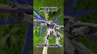 Metal Build Freedom Gundam