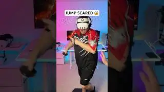 JUMP SCARES in Animal Company VR! #animalcompany