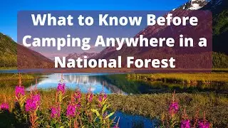 How to Camp Anywhere in a National Forest
